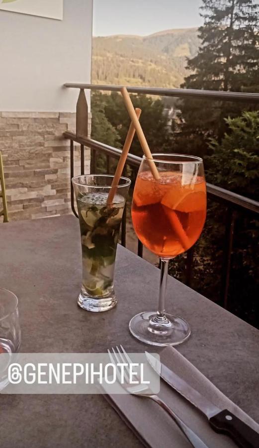 Genepi Hotel *