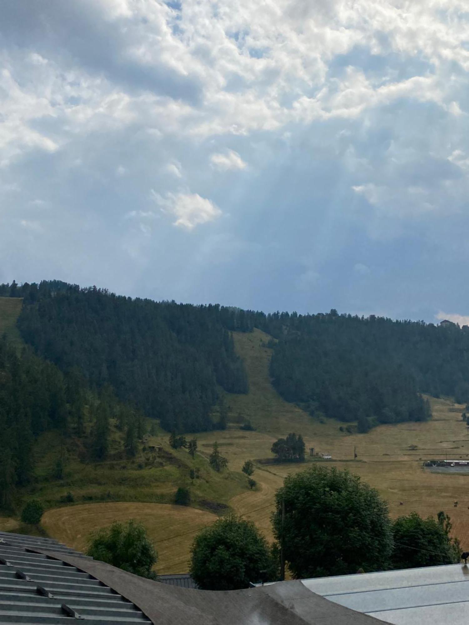 Genepi